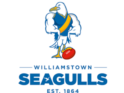 seagulls 400x300.png